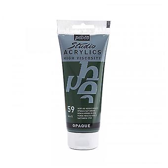 Acrylique Studio High Viscosity 100ML Vert Vessie - PEBEO 