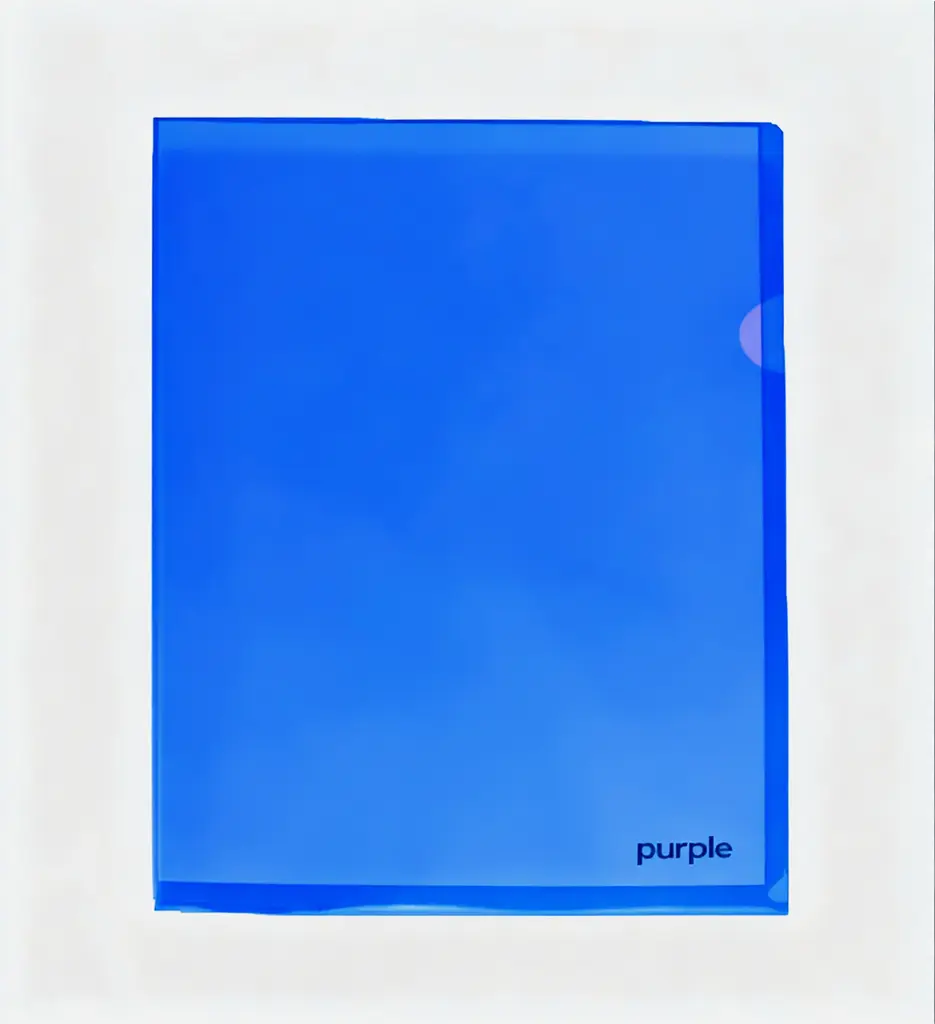 Lot de 10 Pochettes à coin en PP Bleu - Purple