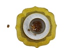 Origine Acrylique 60ML Ocre Jaune - PEBEO 