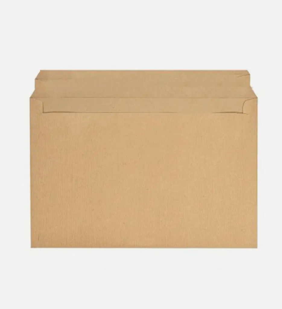 Paquet de 250 Pochette Kraft 22x32 - La Couronne