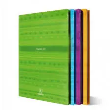 Registre 300p selecta