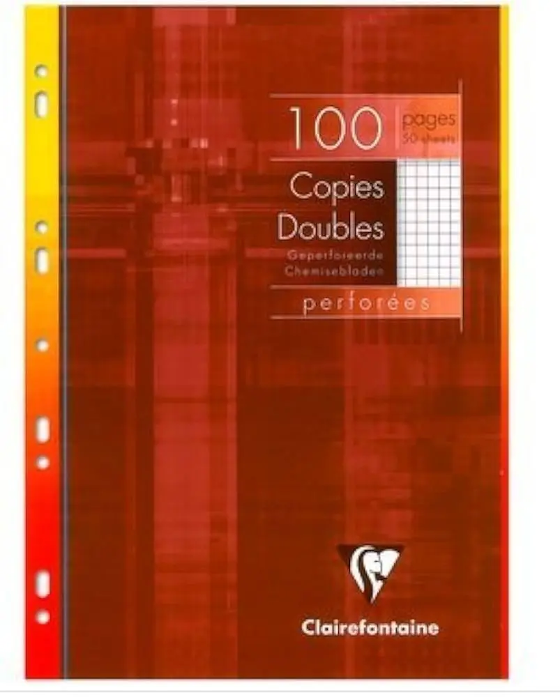 Paquet De 100 Copies Doubles Perforées A4 - OSCAR